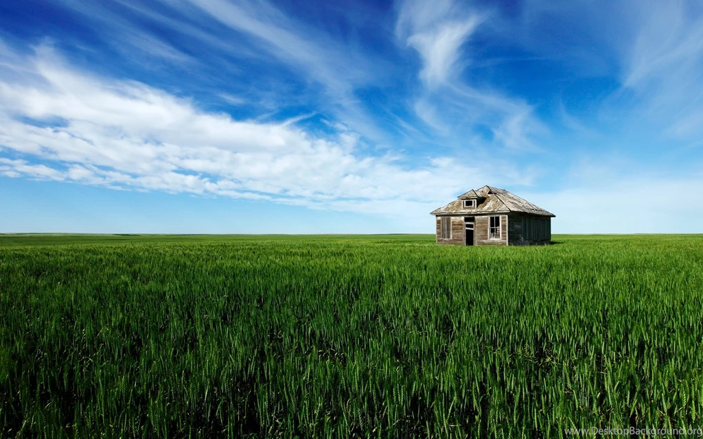 Free HD & 3D Wallpapers: Old House Grass Field Nature HD Wallpapers