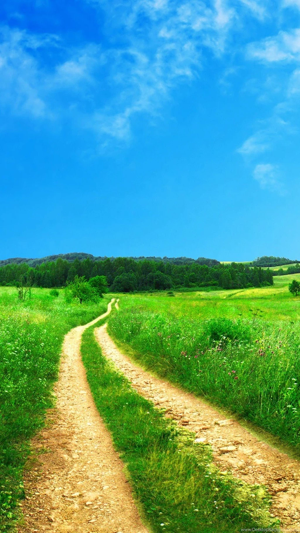 Here's How Girls Deal With Grass Iphone 6 Plus Wallpapers In 2015 ...