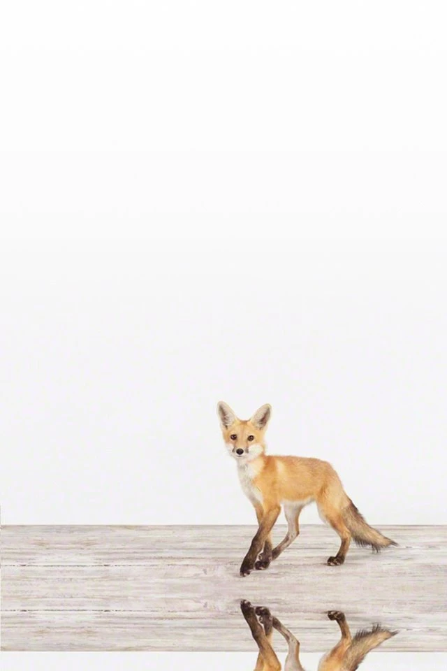 Wallpapers On Pinterest