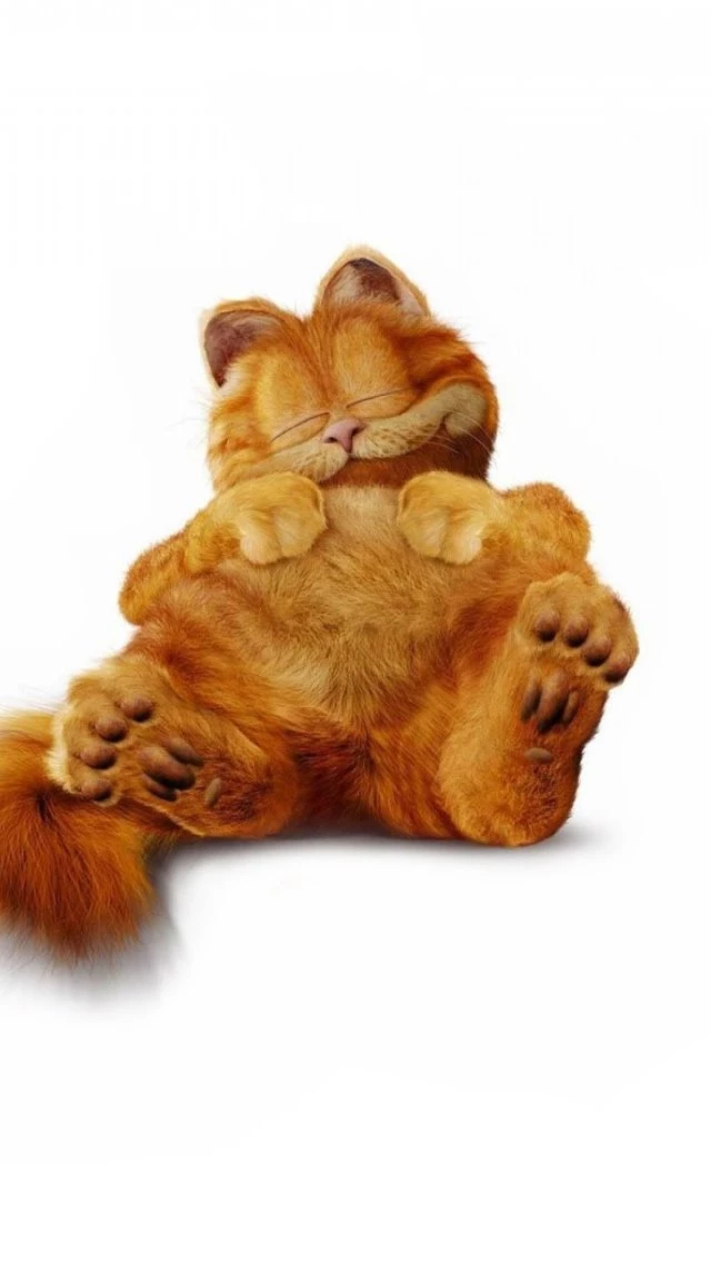 Garfield Wallpapers For iPhone 5
