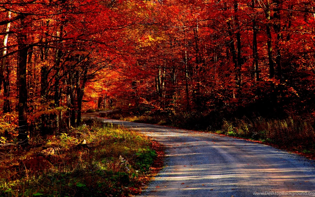 Autumn Road Wallpapers For Desktop Uncalke.com