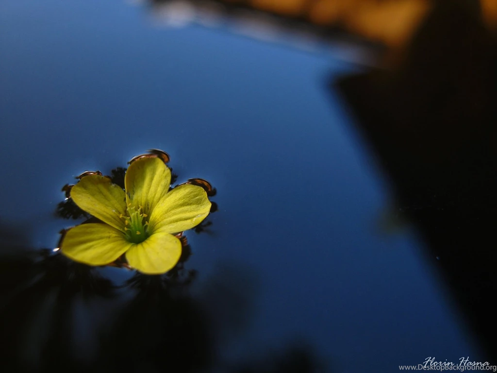 Hd Wallpapers, Iphone Desktop Images, Photoshoot, Amazing ...