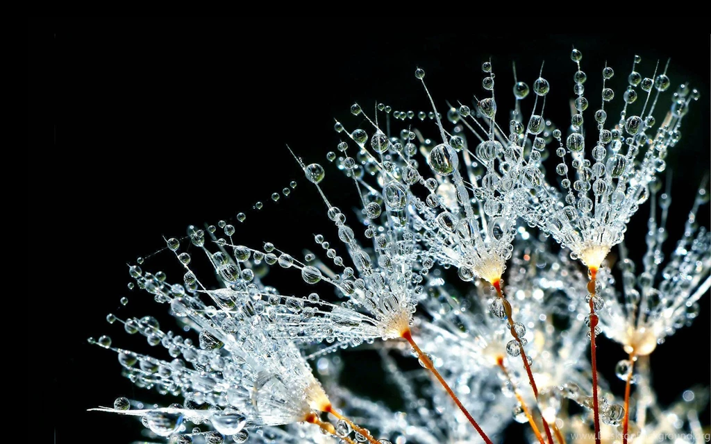 30+ HD Water Wallpapers, Backgrounds, Images