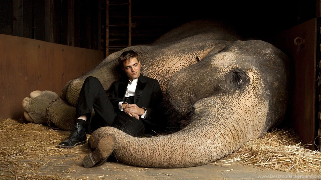 Robert Pattinson 1080p Wallpaper, High Definition, High Quality ...