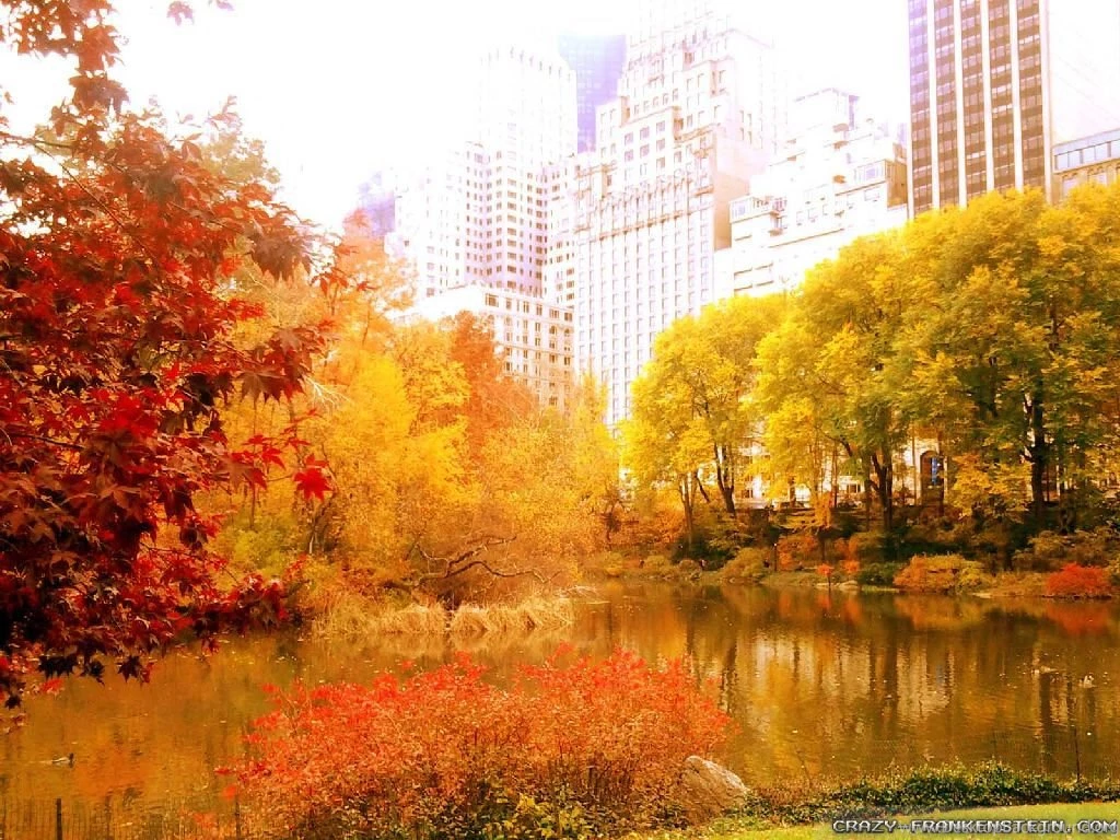 Autumn In New York Wallpapers   Seasonal   Crazy Frankenstein