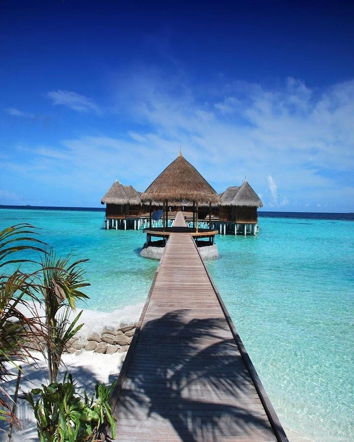 Beach Wallpapers Live Android Apps On Google Play