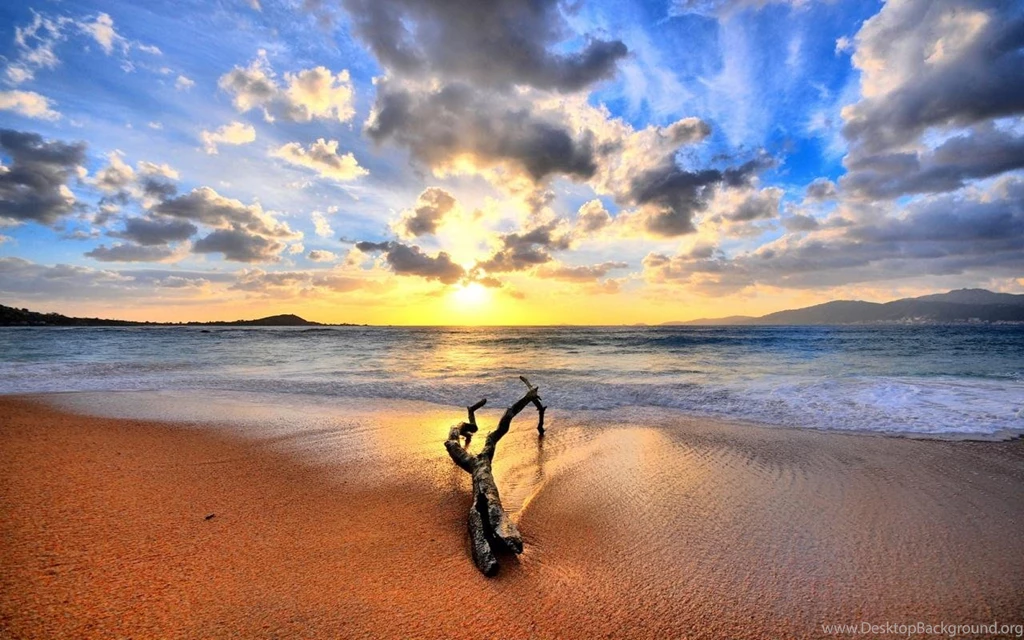 Beach Live Wallpapers Android Apps On Google Play