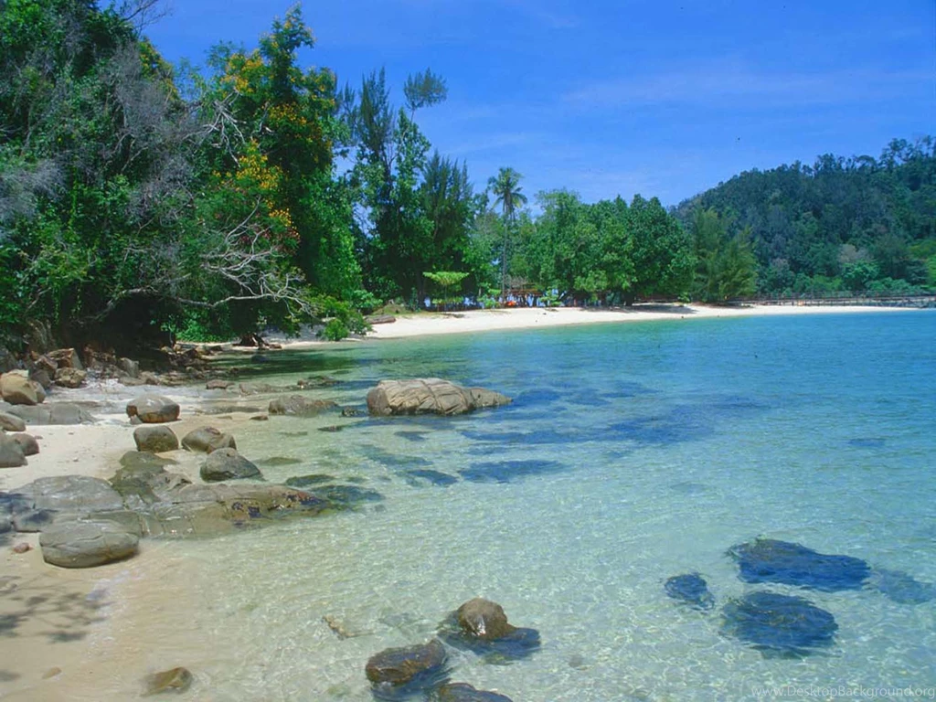 Tropical Beach Wallpapers Live Wallpapers For Desktop