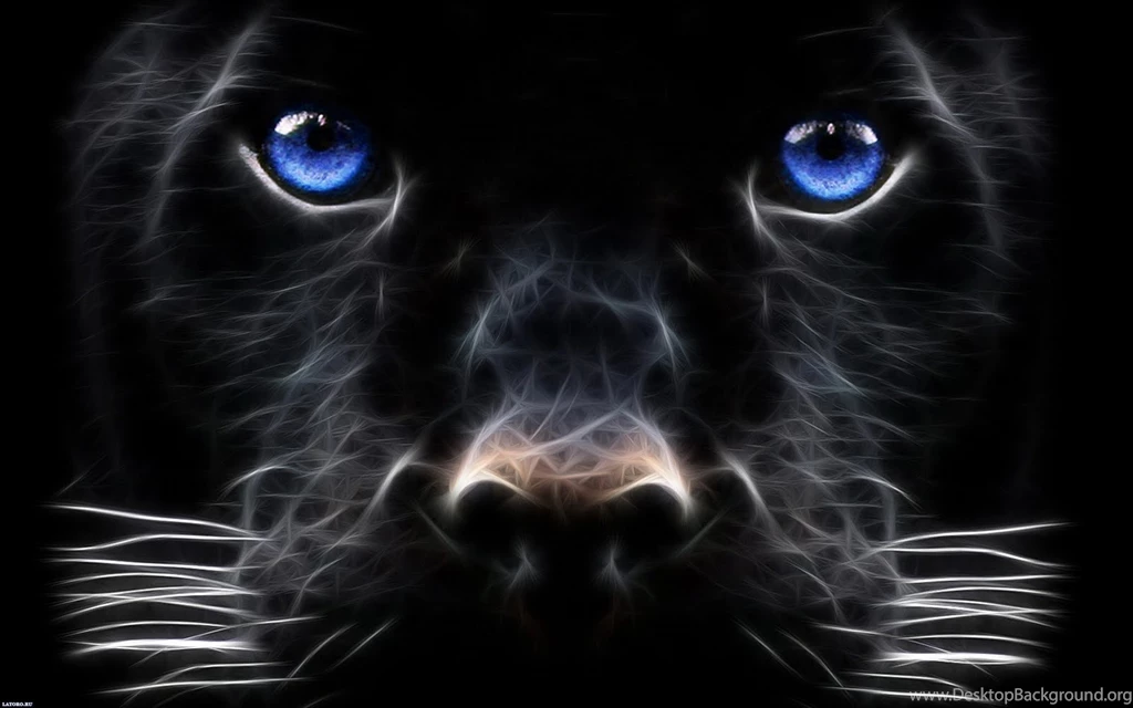 Fantasy Black Dog Wallpaper Backgrounds