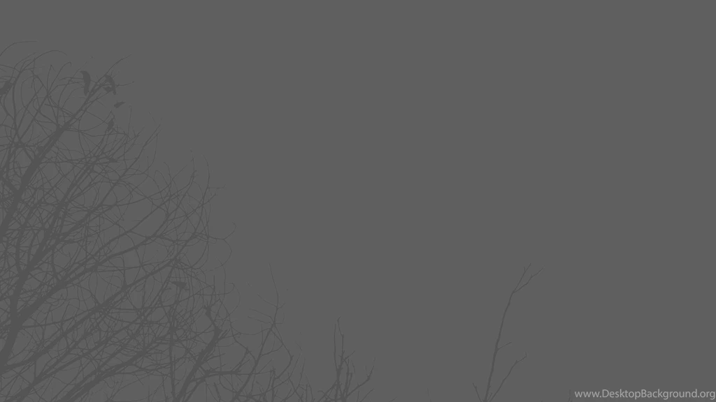 Create.live.love The MOApp Weblog » Archiv » 12″ MacBook Space ...