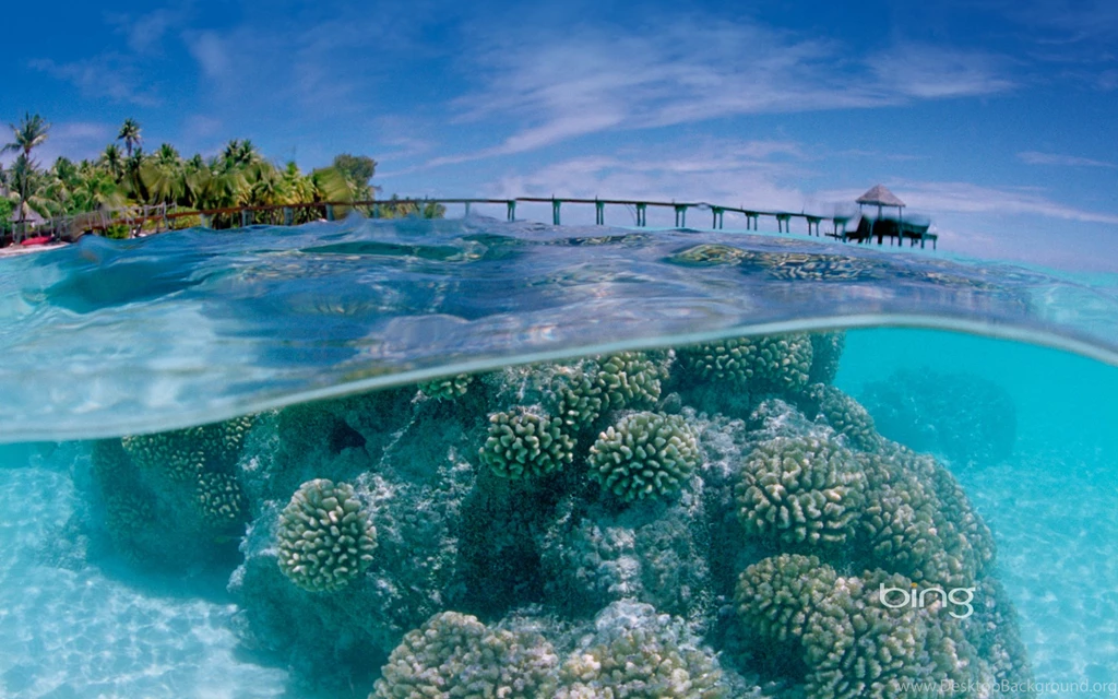 Desktop Backgrounds Archives Page 21 Of 41 WideWallpaper.info ...