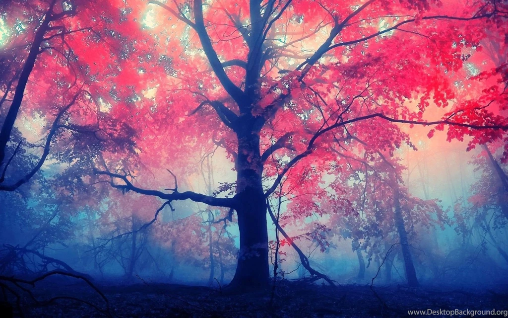 Pink Tree Wallpapers Wallpapers Cave