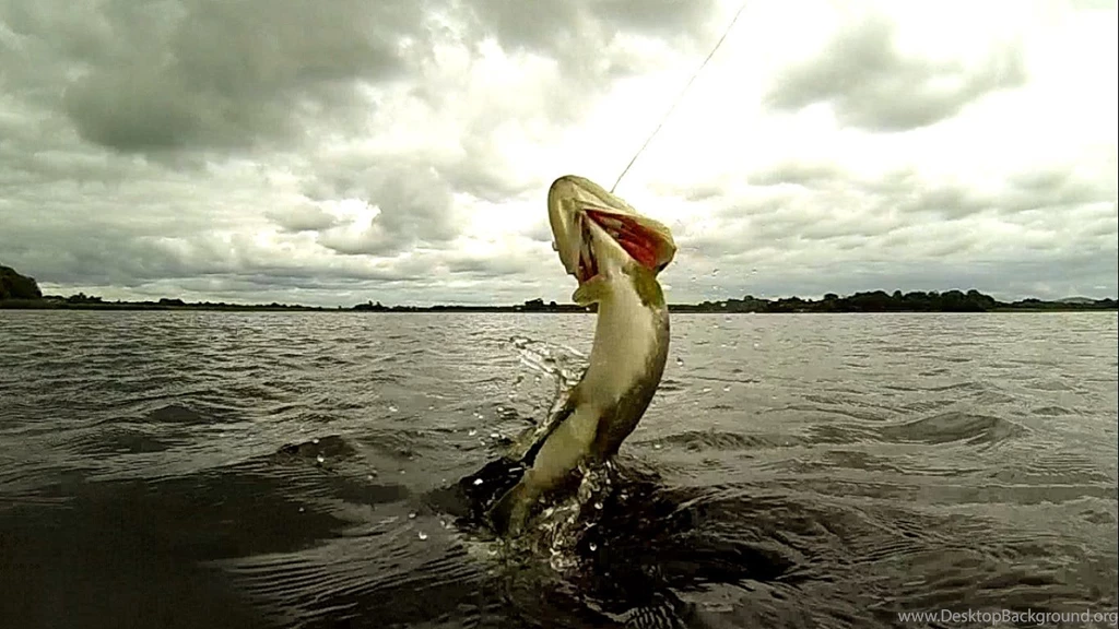 Panic Vs Pike. Girl Fishing With Lures Testing New Spoon. Рыбалка ...