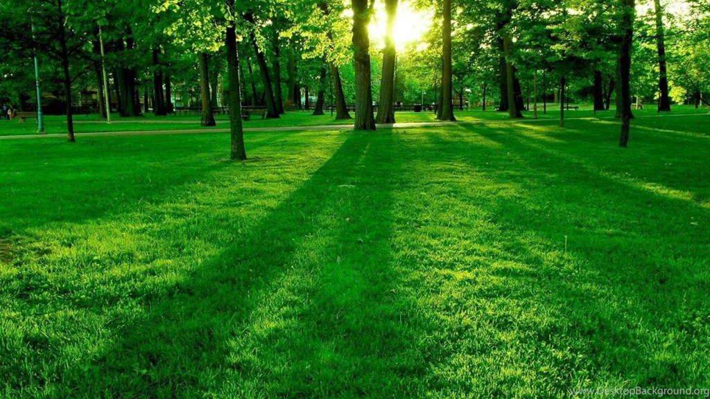 Summer Green Nature Wallpapers 1600 1200 Hd Desktop Wallpapers ...