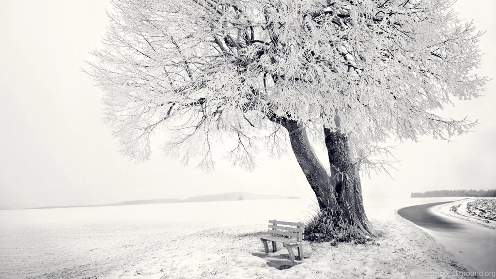 Download Wallpapers 3840x2160 Winter, Snow, Bench, Tree, Frost ...