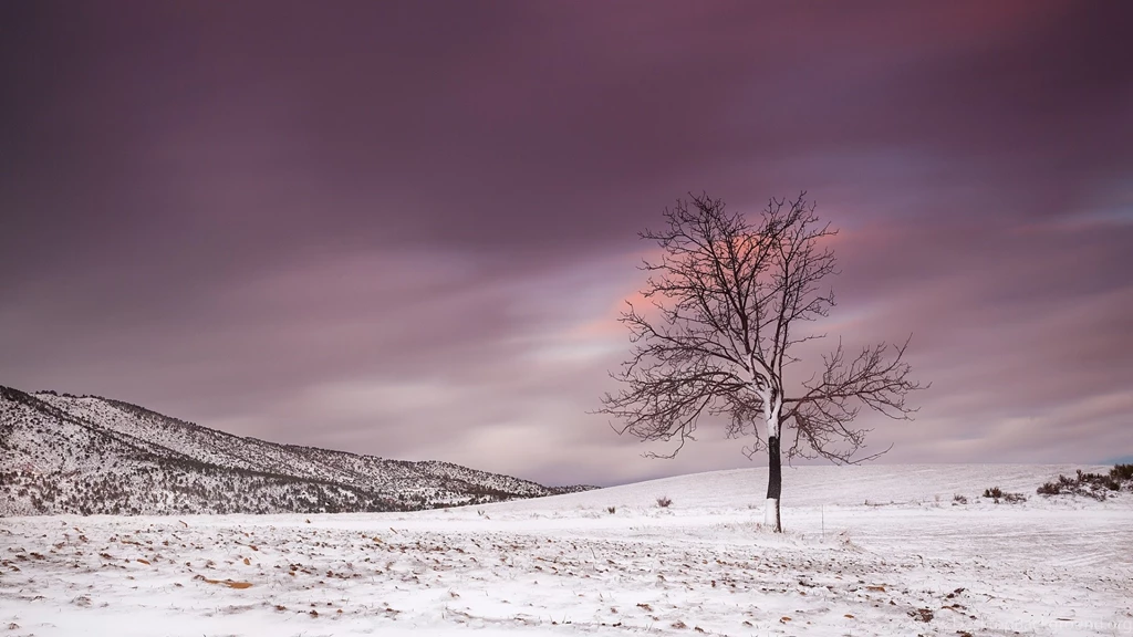 40+ Beautiful Winter Wallpapers For Free Download
