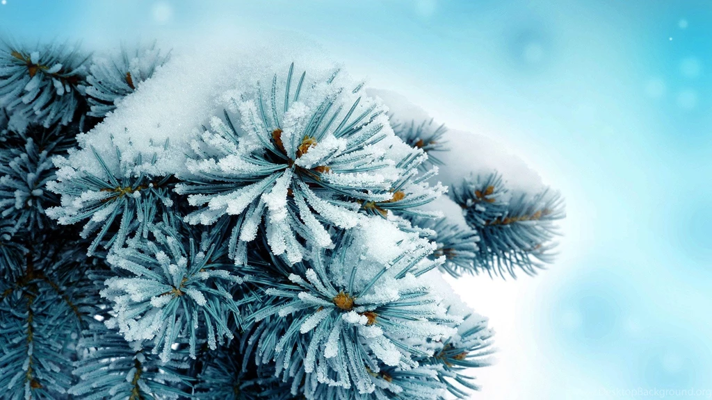 Free Winter Wallpapers And Other Nature Desktop Backgrounds, Full ...
