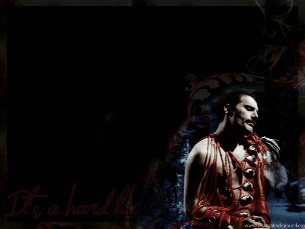 Freddie. Freddie Mercury Wallpapers (12933304) Fanpop
