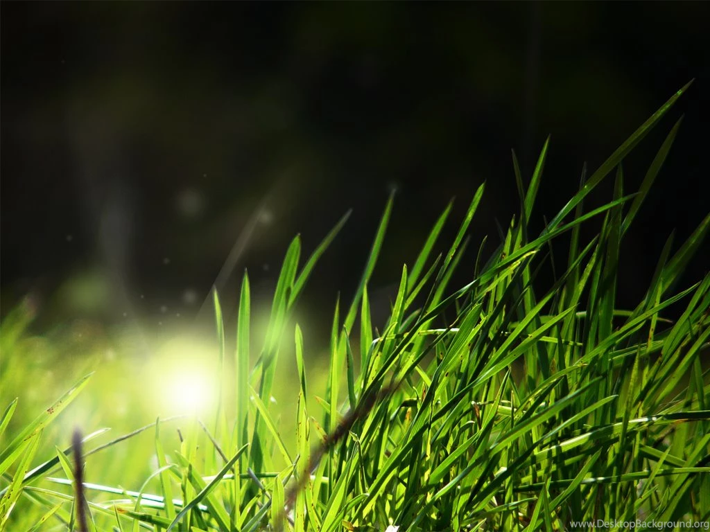 Hd wallpapers for android phones free download 7 23079 HD ...