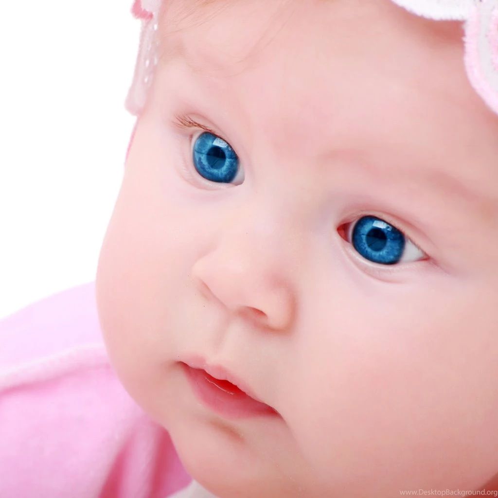 Small Baby Ipad Wallpapers To Download   PetPictures