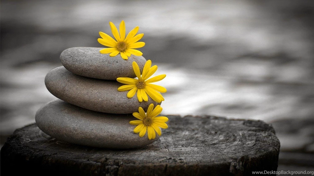 For Your Desktop:::...: Best Desktop Wallpapers (25 Photos)