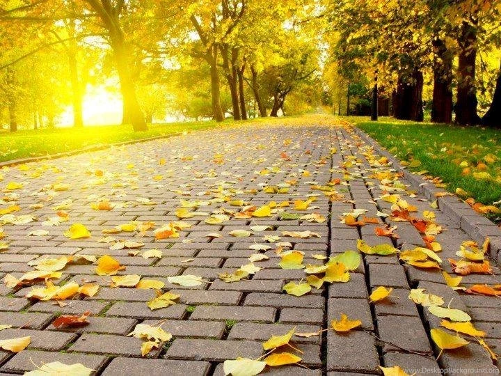 Nature HD Wallpapers For Windows 7 (2)