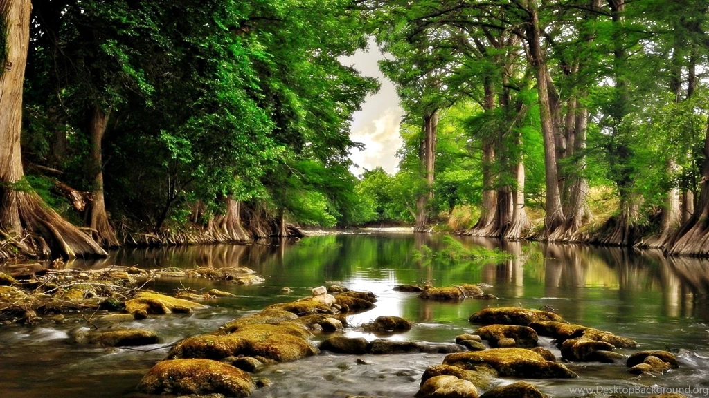 Nature Widescreen Resolution