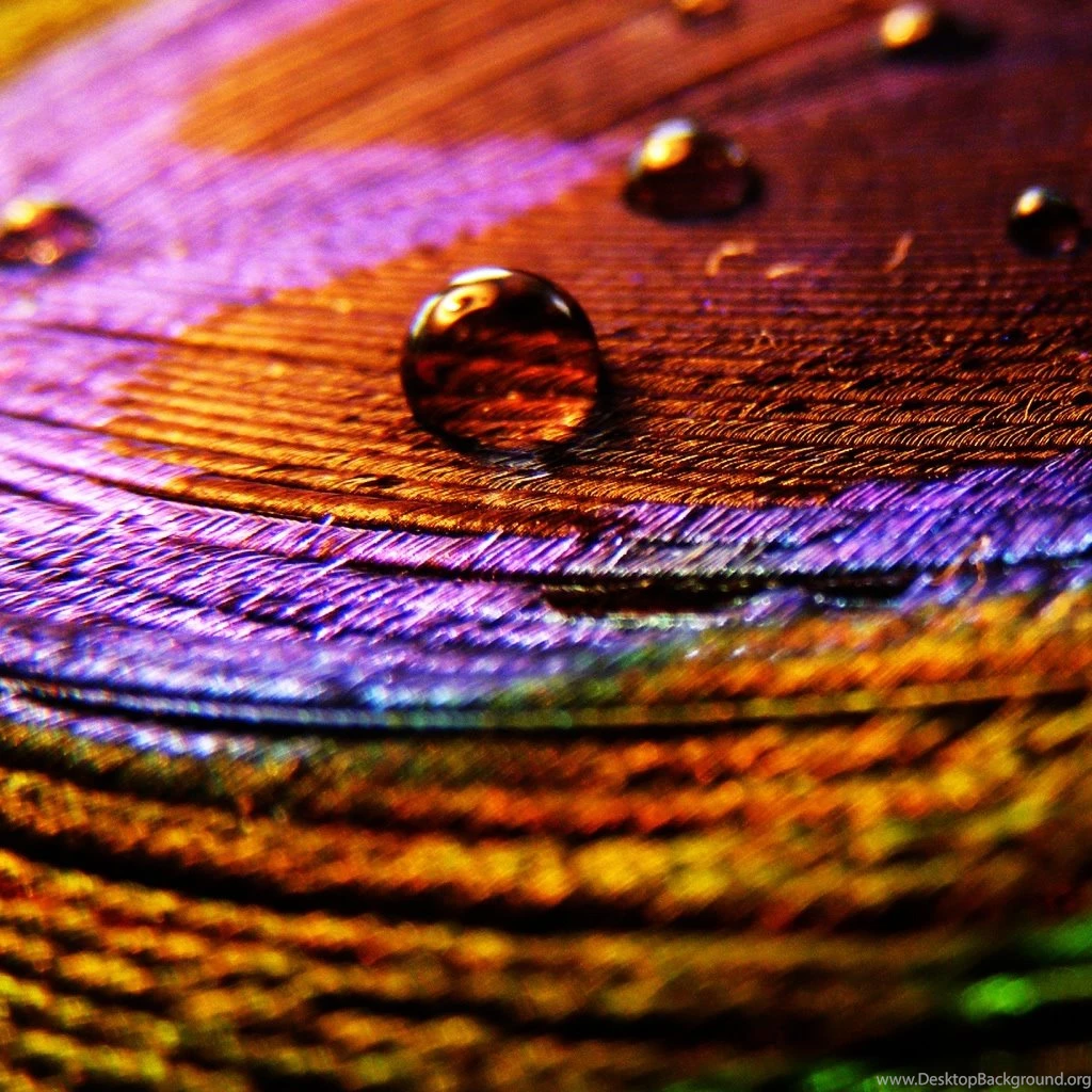 Colorful Cloth iPad Wallpapers Download