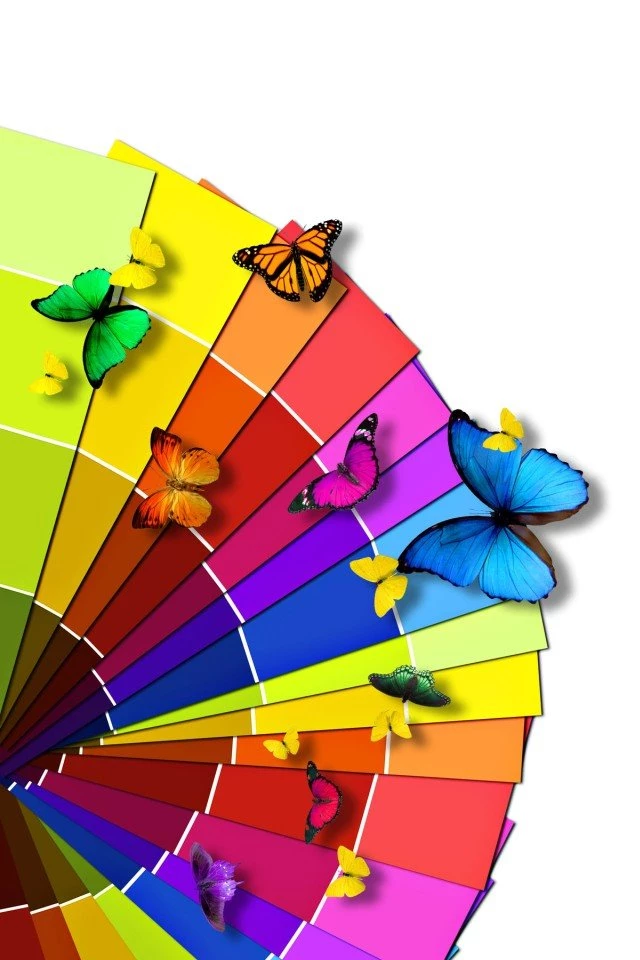 Colorful Wallpapers For Iphone