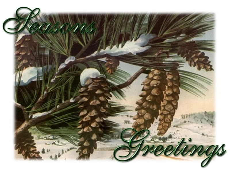 Seasons Greetings Wallpapers Wallpapers Desktop Background