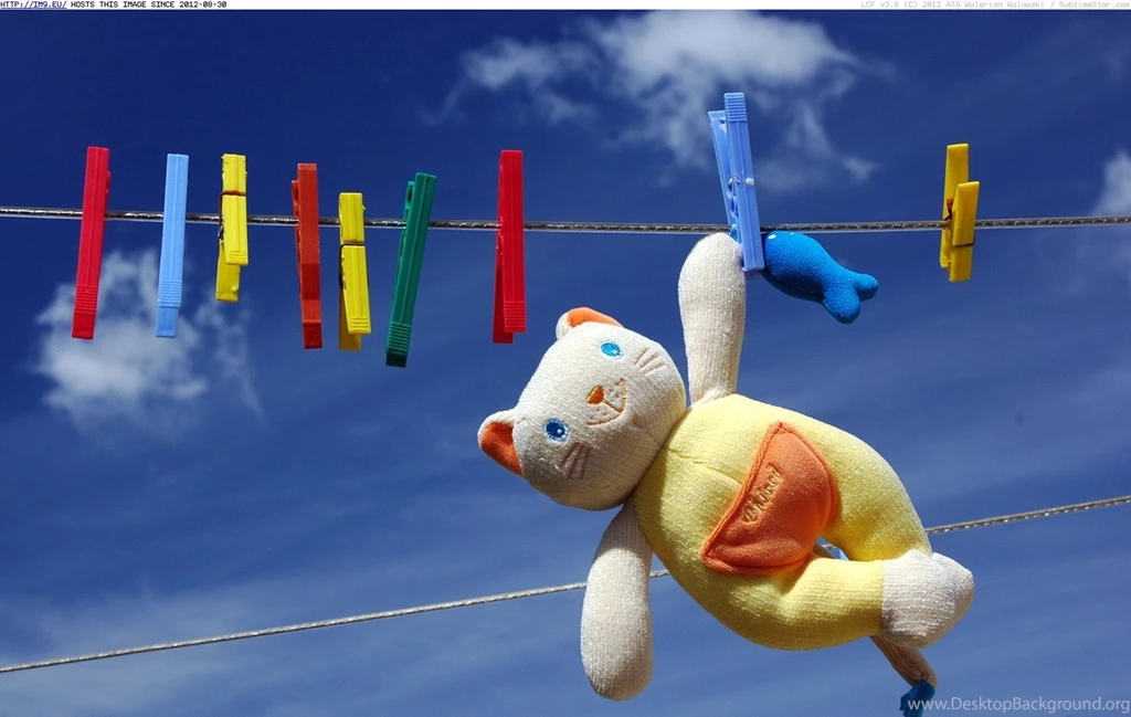 New Wallpapers   HD Images New