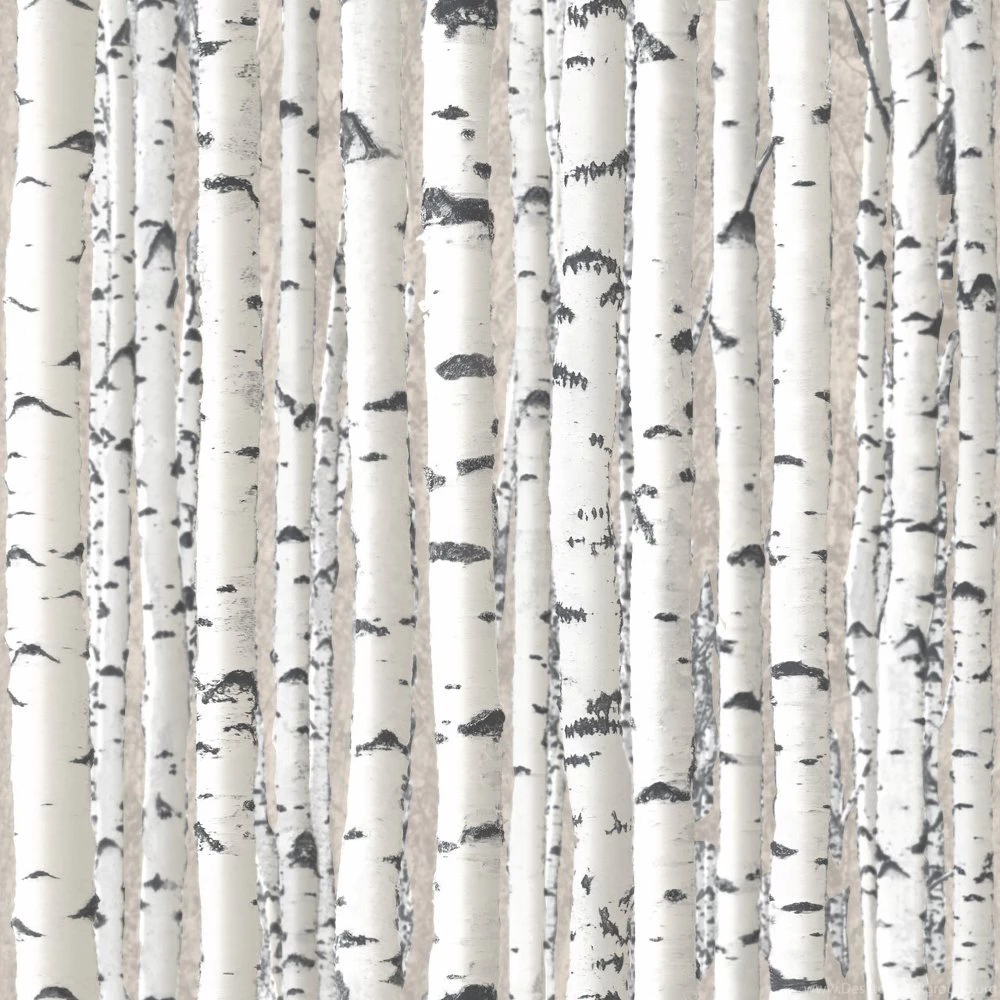 Debona Branches Tree Pattern Forest Photo Effect Mural Wallpapers 1279
