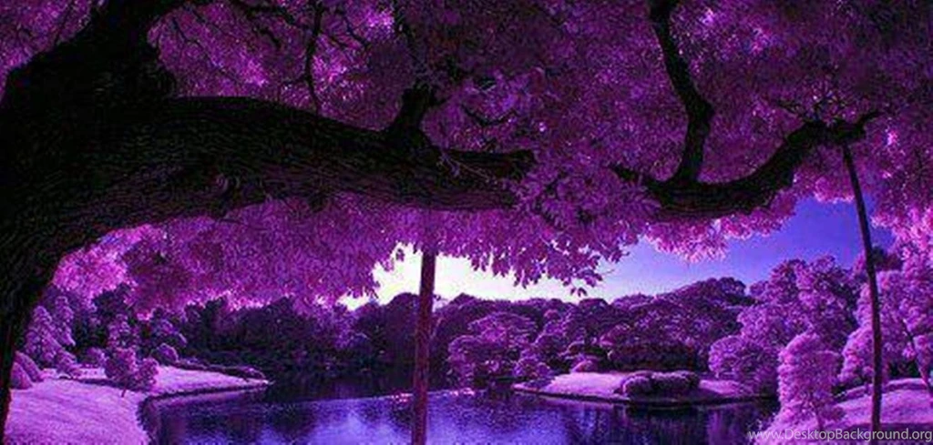 Purple Scenery With Zen Pond (