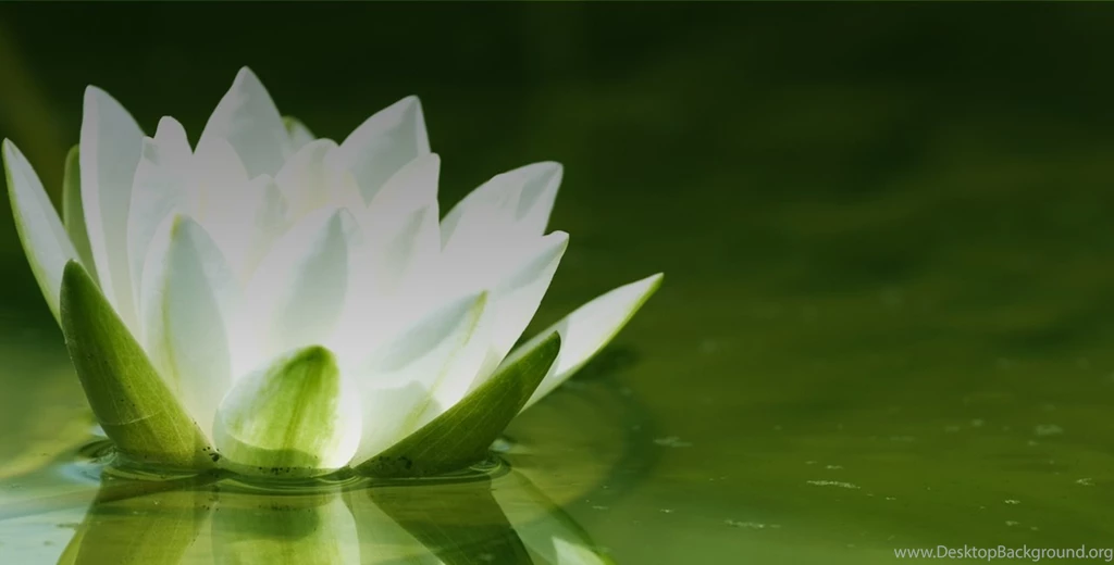 Zen Homes Inc About Toronto Real Estate, Lofts, Condos, New Homes
