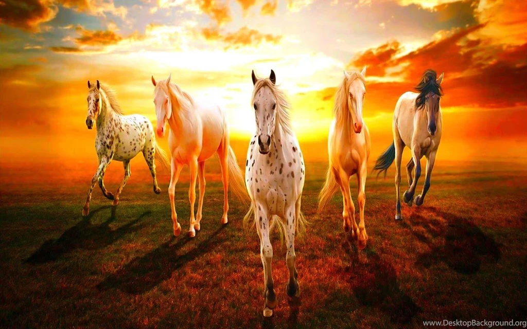 Horse Wallpapers   Android Apps On Google Play