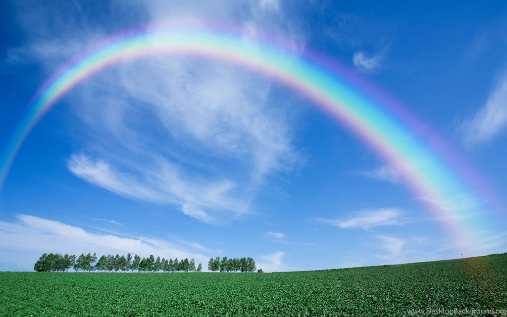 What's A Rainbow? The Tibby