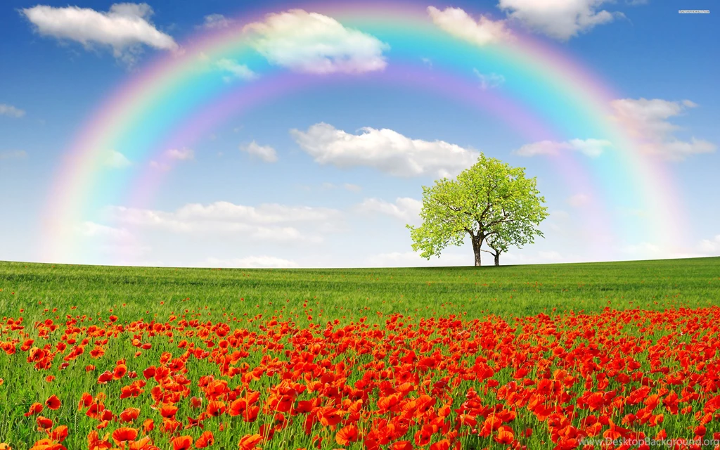 Picture Of Rainbow