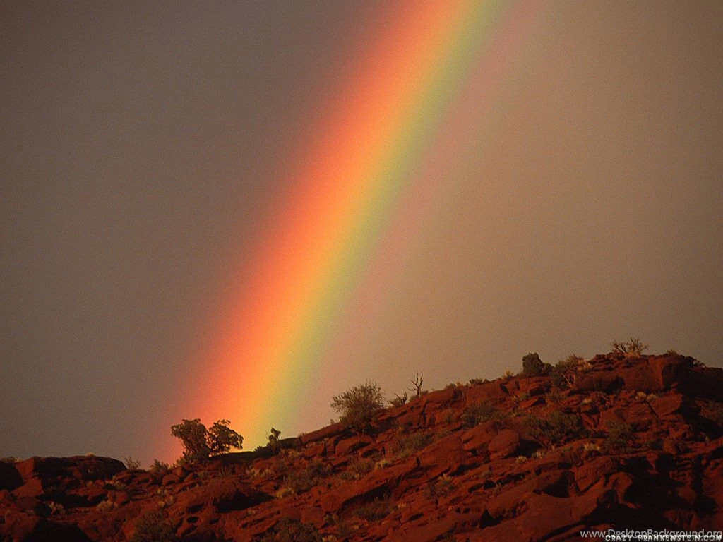 Real Rainbows