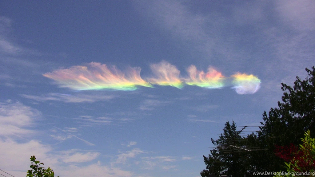 Greek/American Culture, Marriage And “YiaYia