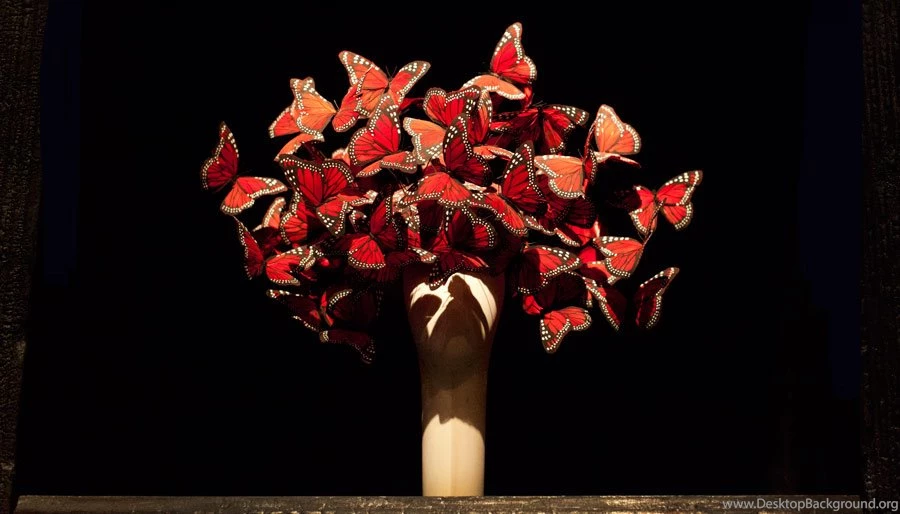 Savage Beauty Garance Doré