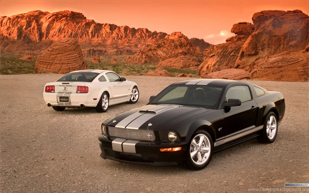 All About Ford Mustangs Carhdwallpapers