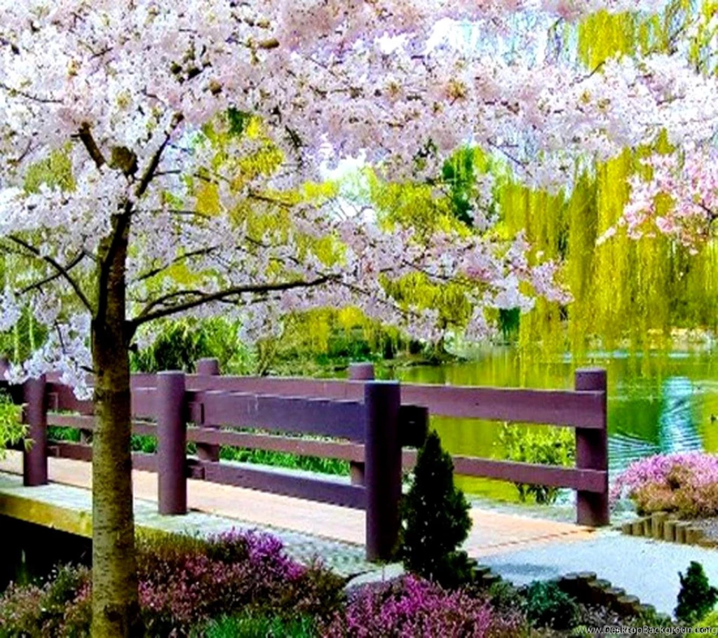 Most Beautiful Nature Wallpapers For Mobile 1.jpg