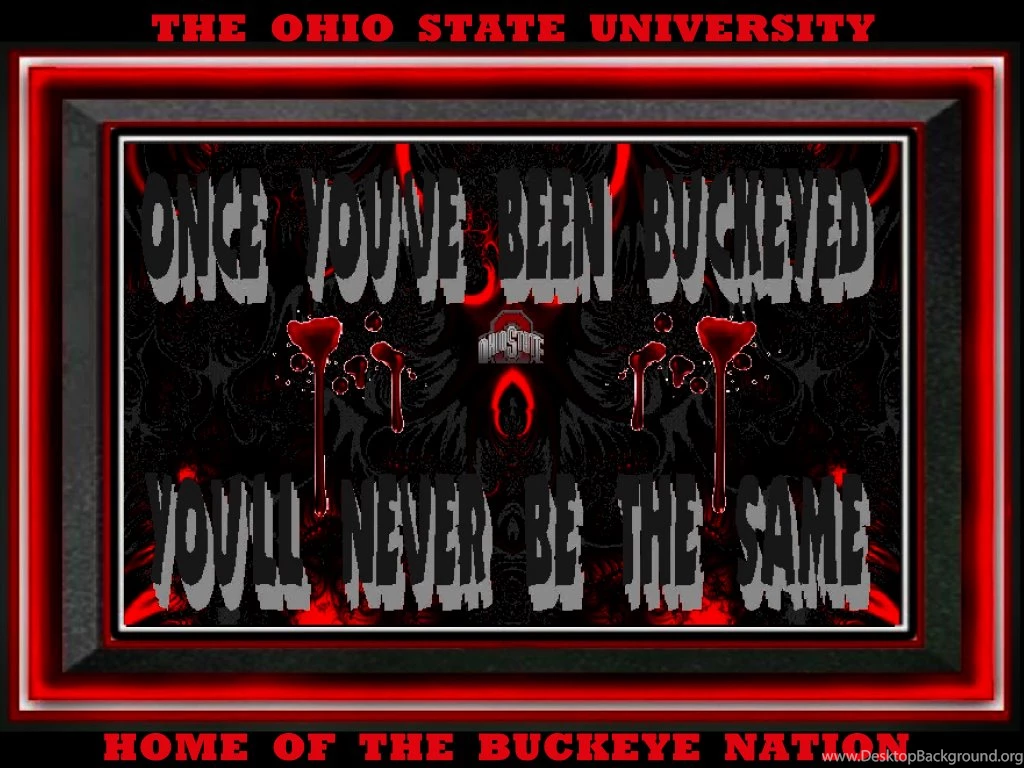 Once You've Been Buckeyed   Ohio State Football Wallpapers ...