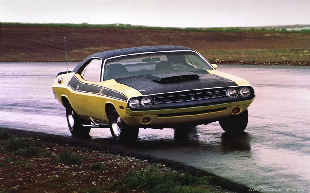 1970 Dodge Challenger Images. Photo: 1970 Dodge Challenger Image ...