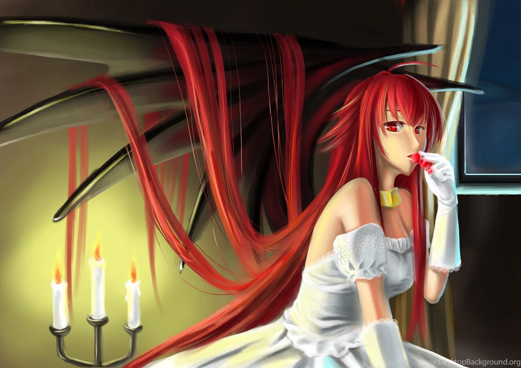 14 High School DxD HD Wallpapers