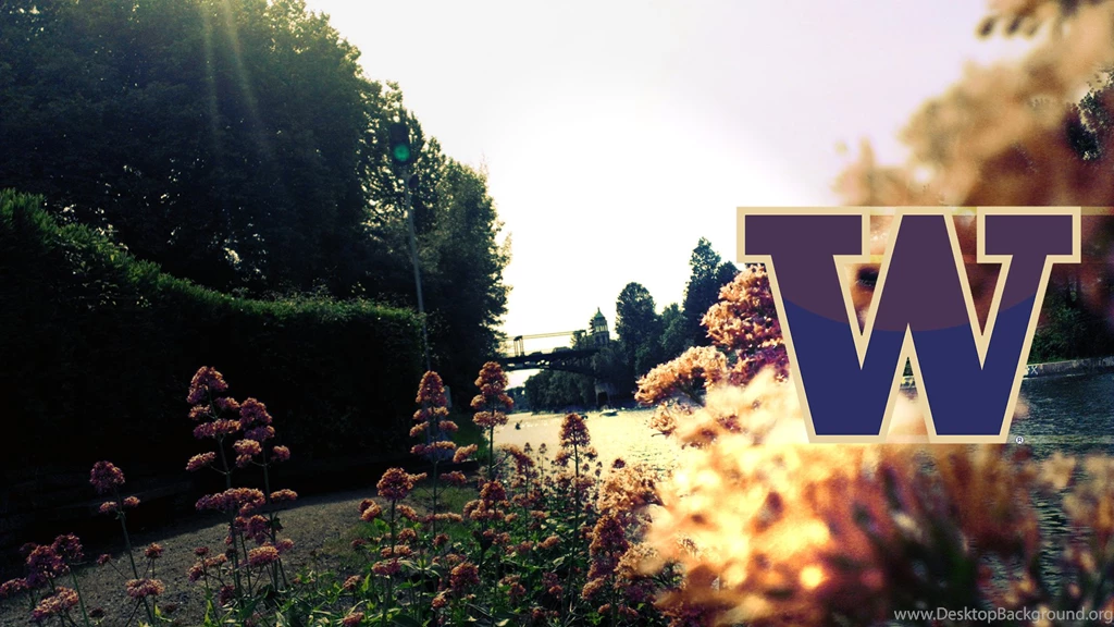 University Of Washington Wallpapers By Minotaurfayt On DeviantArt