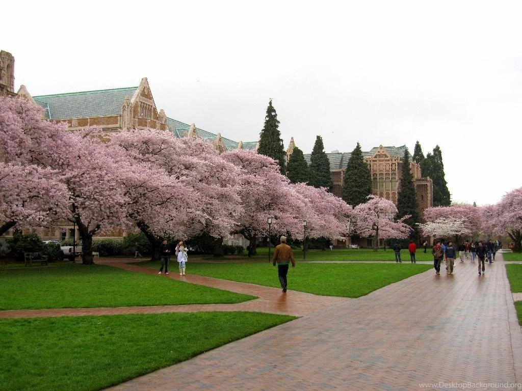 Top Most Universities In The World – Page 2 – Studycrow
