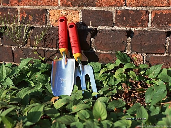 Family Garden Backyard Gardening Wallpapers Wallcoo.net