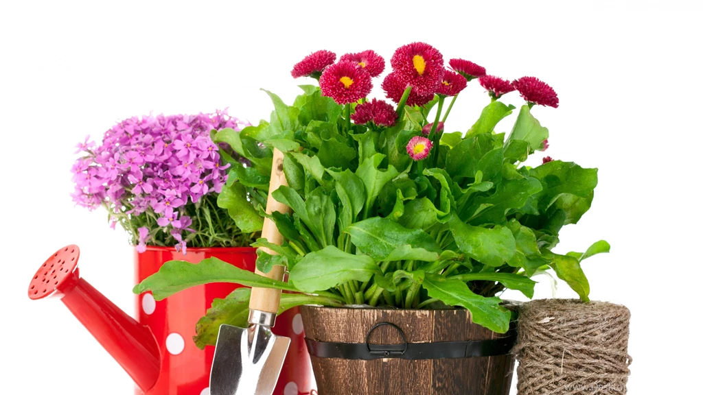 Download Wallpapers 3840x2160 Gardening, Items, Sewing, Flowers ...