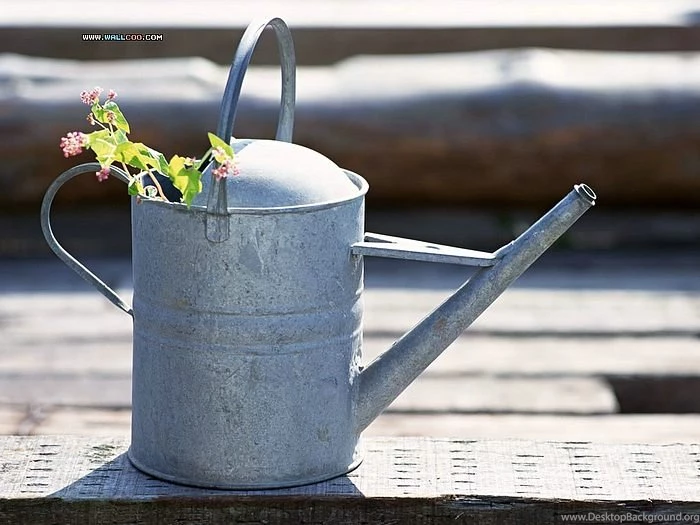 Garden Design Pictures   Backyard Garden Wallpapers13   Wallcoo.net